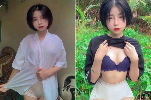 Harley Pham был распространен в горячих видео